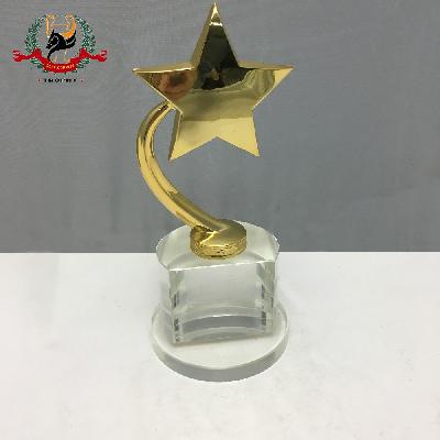 Star Metal Award Trophy