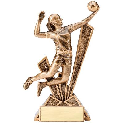 Volley Ball Trophy I
