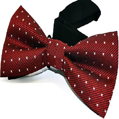 Formal Red Polyester Men's Tie