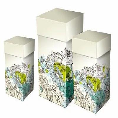 Rectangle Printed Duplex Box