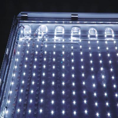 LED Light Box