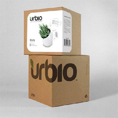 Printed Cardboard Box