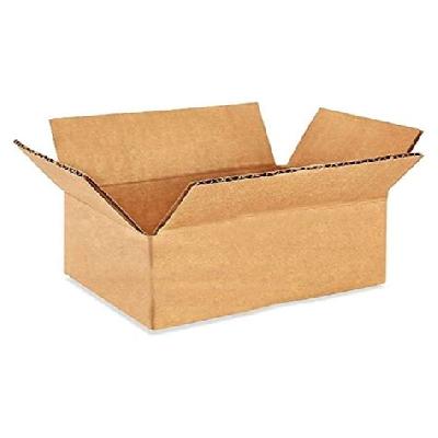 Plain Packaging Carton