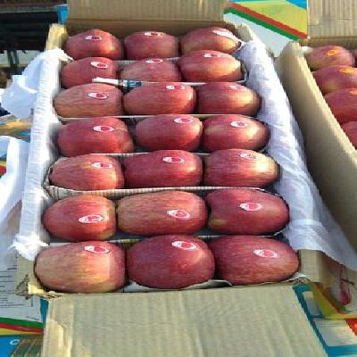 Kashmir Apple Packaging Boxes