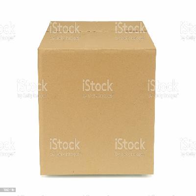 Plain Brown Carton Box