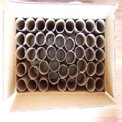 Craft Paper Cores