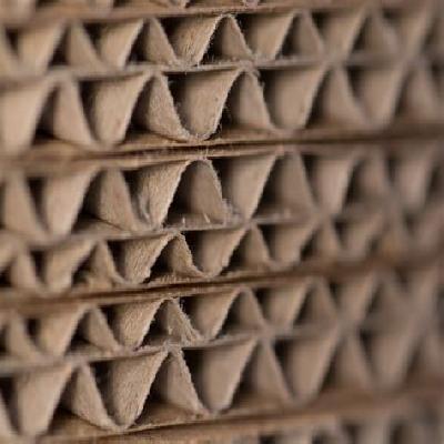 Corrugated Cardboard