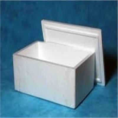 Thermocol Ice Box