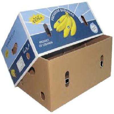 Banana Packaging  Box