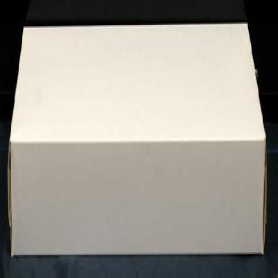 Plain Shirt Packaging Box