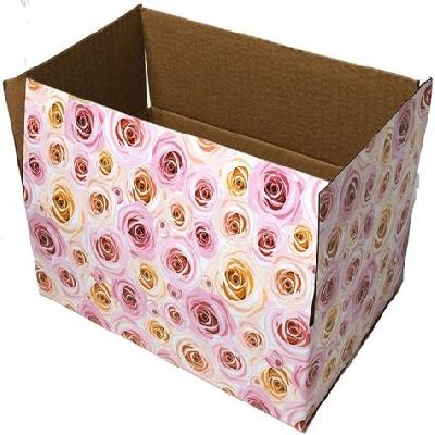 Printed Carton Storage Box