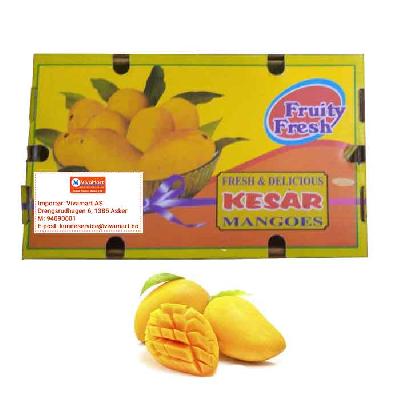 6 Pcs Kesar Mango Packing Box