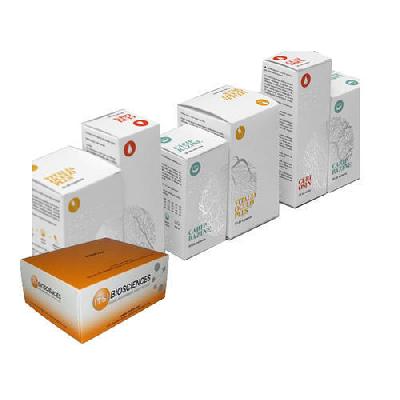 Duplex Carton Boxes