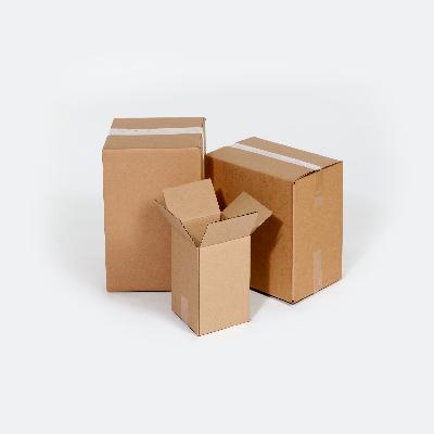 Regular Sloted Cartons