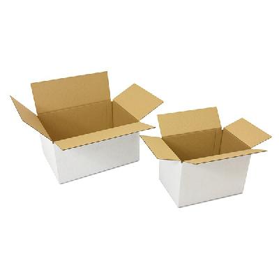 White Duplex Corrugated Box