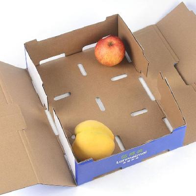 Fruit Packaging Brown Cardboard Box