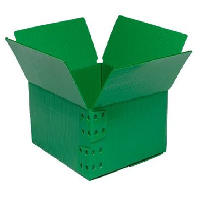 Plastic Corrugated Carton Box