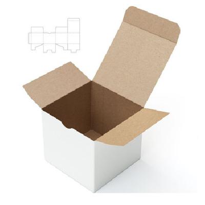 Printed Duplex  Corrugated Box