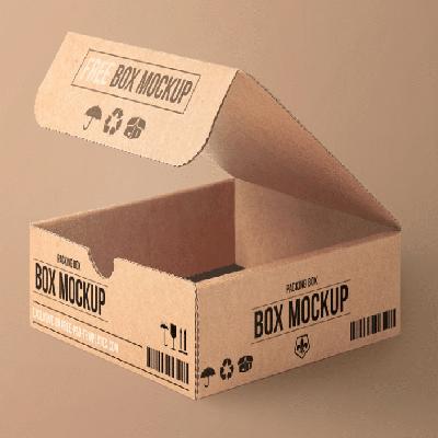 Packaging Cartons