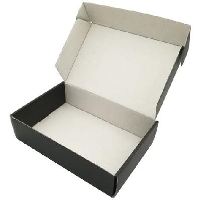 Carton Shoe Box