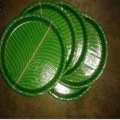 Paper Plate Raw Material