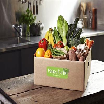 25x20x18 Inch Vegetable Packaging Box