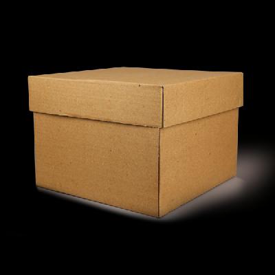 Master Carton