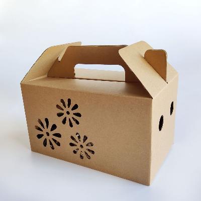 Corrugated Board Box