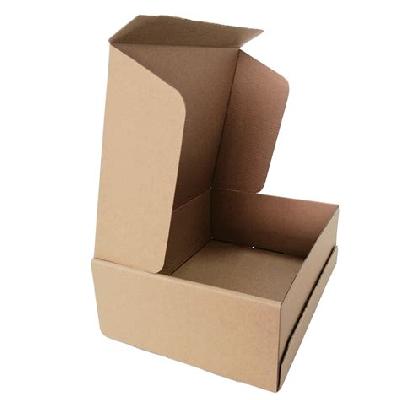Plain Brown Corrugated Packaging Box
