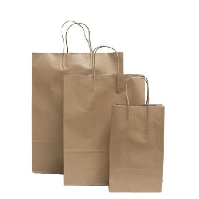 Brown Paper Carry Bag