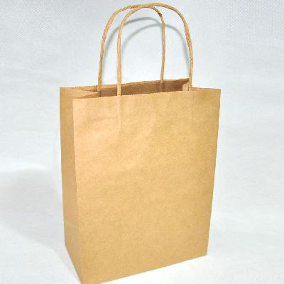 Brown Printed Paper Bag