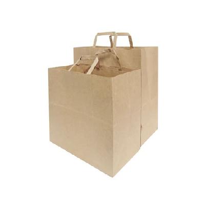 Flat Paper Carry Bag