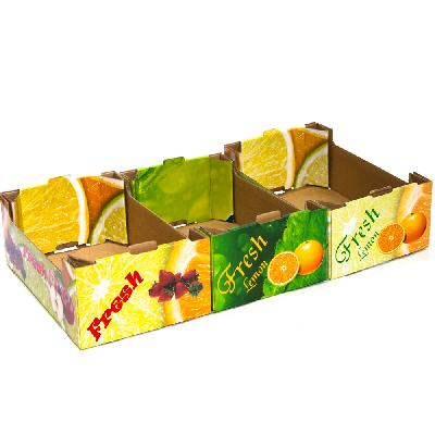 Rectangular Fruit Packaging Box