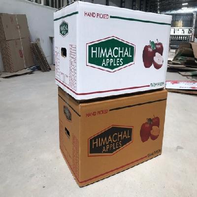 Himachal Apple Packaging Corrugated Box