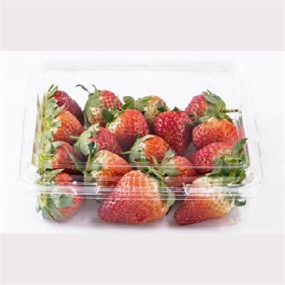 Strawberry Square Packing Box