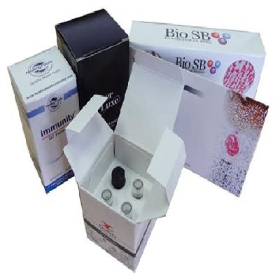 Printed Pharmaceutical Boxes