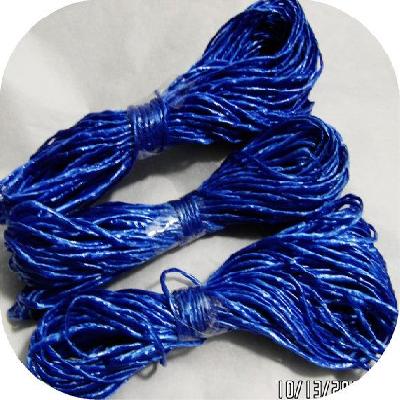 Blue Plastic Twine