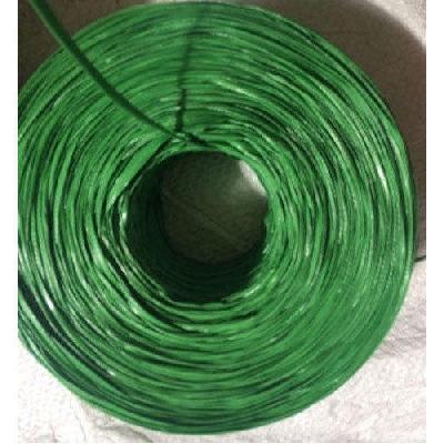 Green Plastic Twine