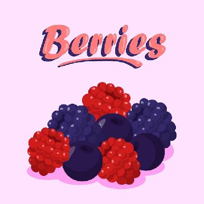 Berries Carton