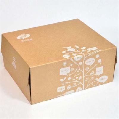 Plain Cardboard Corrugated Box
