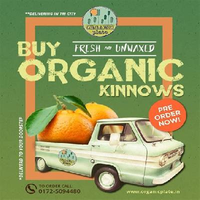 Kinnows Packaging Box