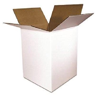 Duplex Master Carton Box