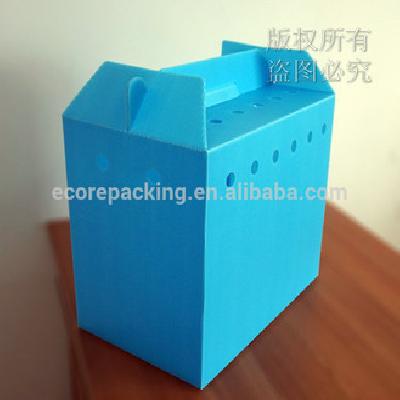 Light Weight Corrugated Box