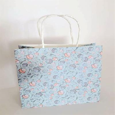 Printed Paper Bag