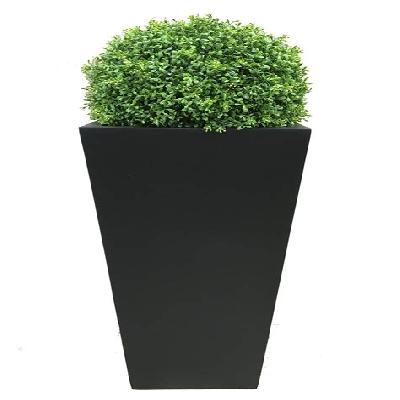 Anami Boll Outdoor Plant with Green Plastic Pot