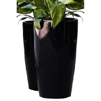 Gulmehandi Flowering Outdoor Plant with Black Plastic Pot