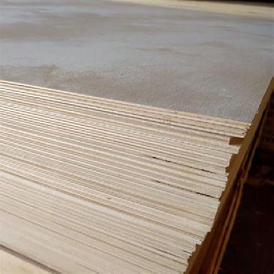 Birch Plywood (Russian Plywood)