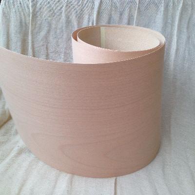 Wooden Steam Beech veener sheet