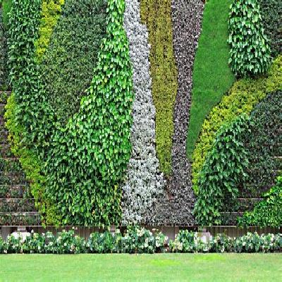 Vertical Wall Garden