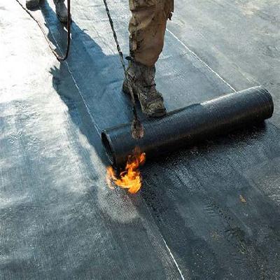Roof Waterproofing Services